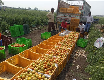 irrigation product system in india PIAL