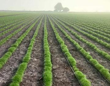 irrigation products in India at PIAL