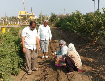 sprinkler irrigation system company in india PIAL