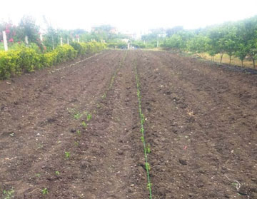 sprinkler irrigation system company in india PIAL