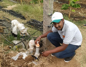 drip irrigation in India at PIAL